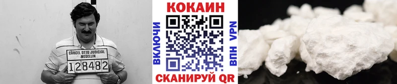 Cocaine FishScale  сколько стоит  Большой Камень 