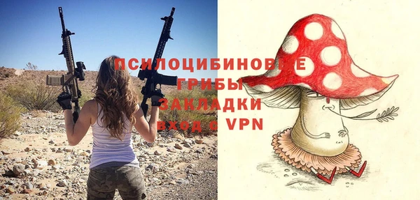 крисы Алексеевка