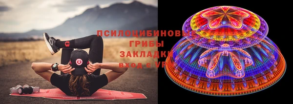 винт Алзамай
