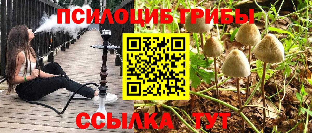 Галлюциногенные грибы мухоморы Большой Камень